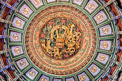 英国周榜：《艾尔登法环》力压《地平线：西之绝境》